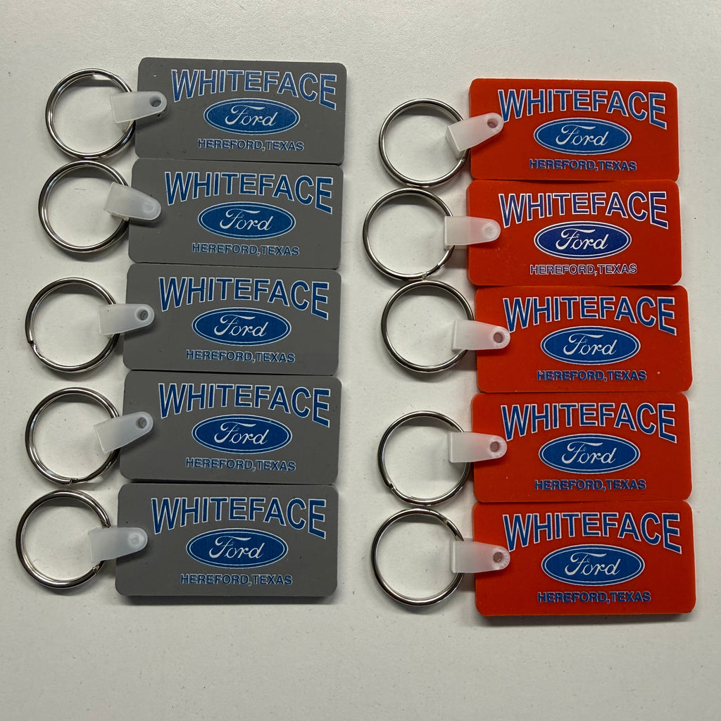 chains ford