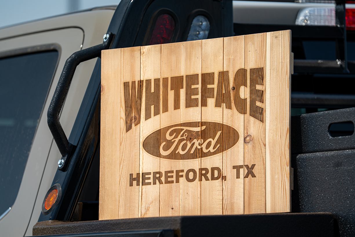 Wooden Whiteface Ford Sign